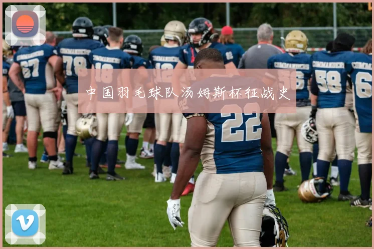 中国羽毛球队汤姆斯杯征战史