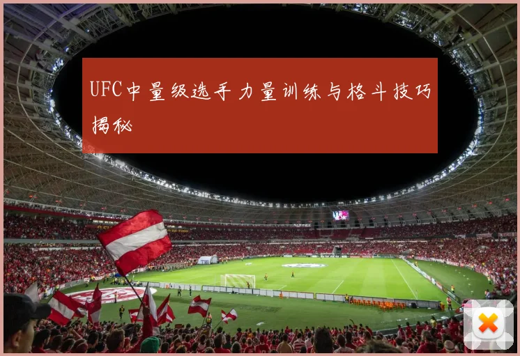 UFC中量级选手力量训练与格斗技巧揭秘