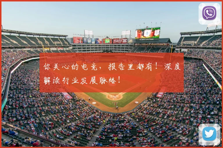 你关心的电竞，报告里都有！深度解读行业发展脉络！