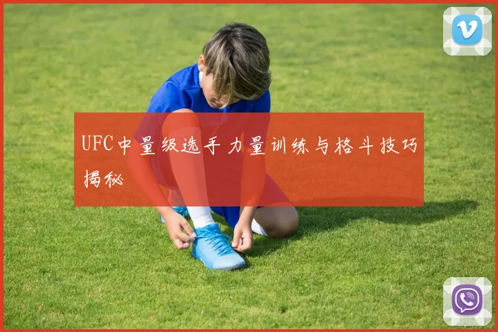 UFC中量级选手力量训练与格斗技巧揭秘