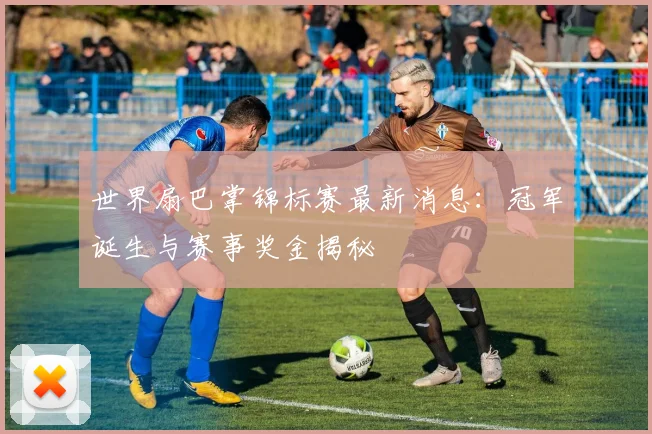 世界扇巴掌锦标赛最新消息：冠军诞生与赛事奖金揭秘