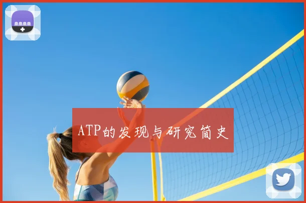 ATP的发现与研究简史